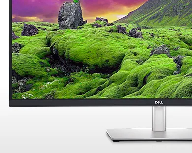 Dell Monitor